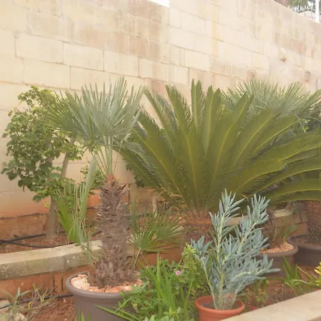 Villa Lyss Apartment 1 Mellieha Exterior photo