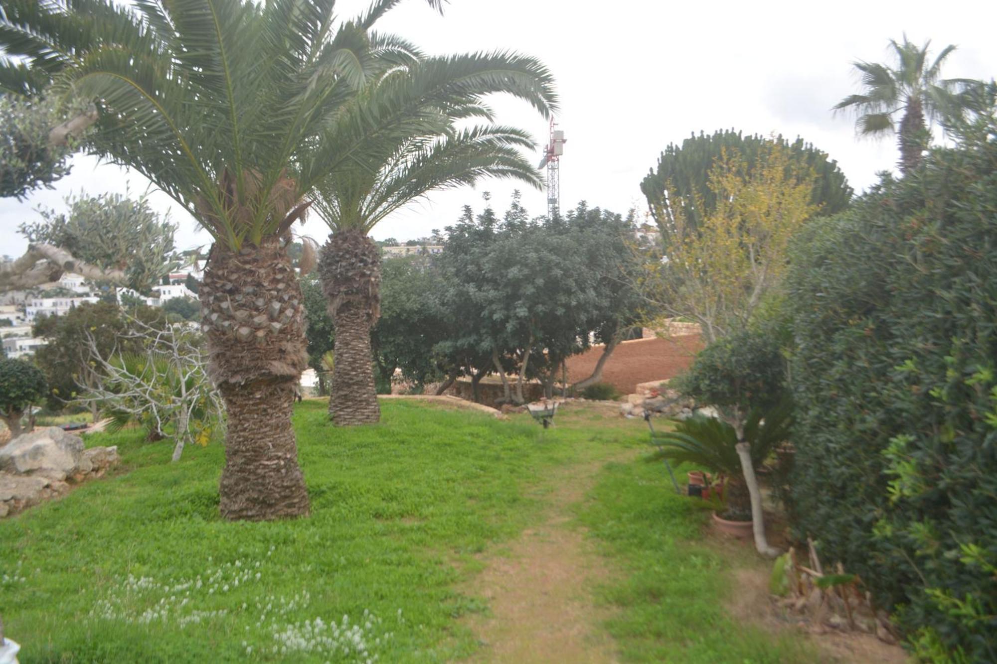 Lyss 1 * Mellieħa