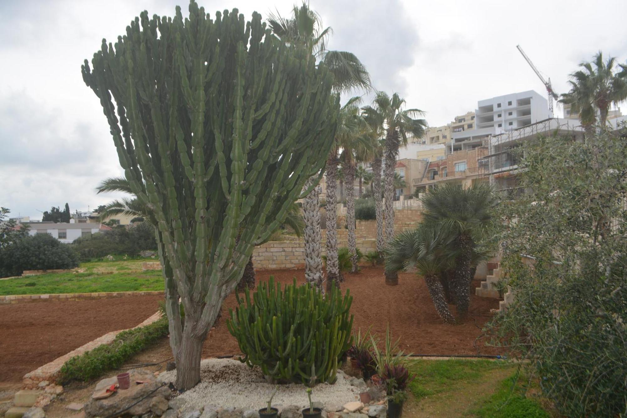 Apartment Lyss 1 Mellieha